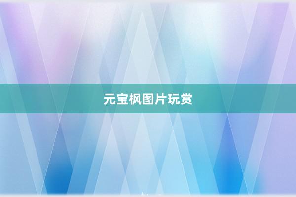 元宝枫图片玩赏
