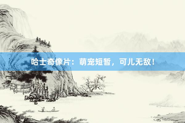 哈士奇像片：萌宠短暂，可儿无敌！