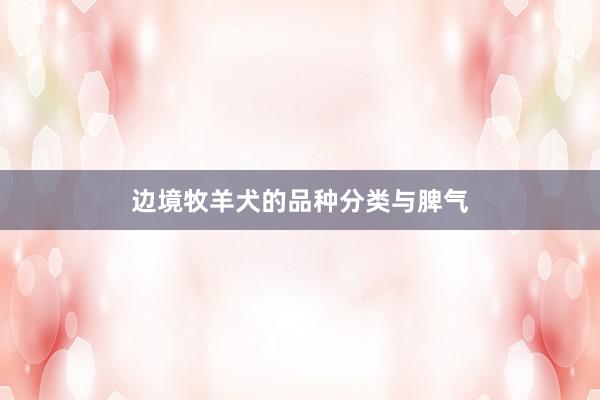边境牧羊犬的品种分类与脾气