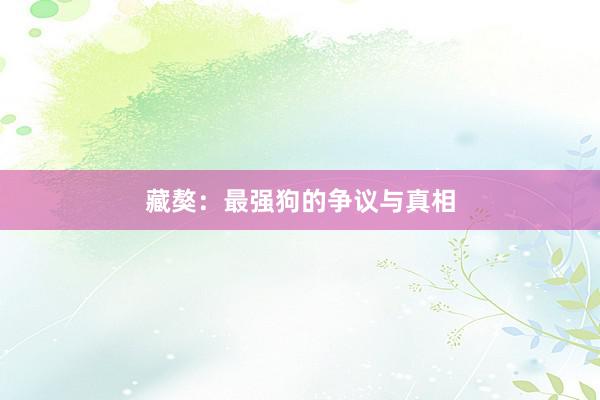藏獒：最强狗的争议与真相
